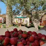 Il Trulletto Bed & Breakfast