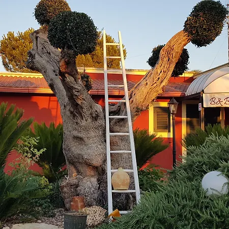 Il Trulletto Impalata