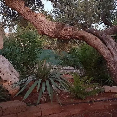 Il Trulletto Impalata