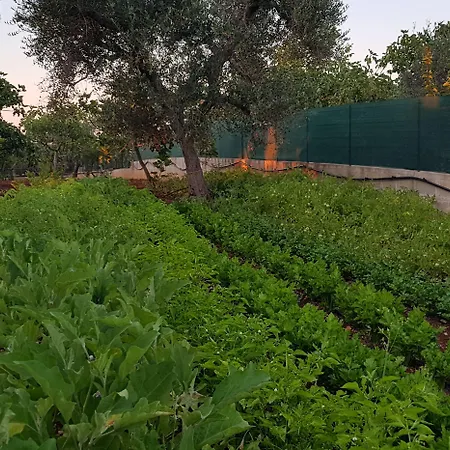 Il Trulletto 4* Impalata