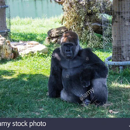 Il Trulletto 4* Impalata