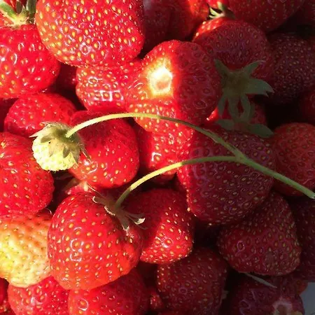 Bed & Breakfast Il Trulletto