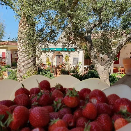 Il Trulletto Bed & Breakfast