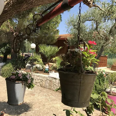 Il Trulletto לינה וארוחת בוקר