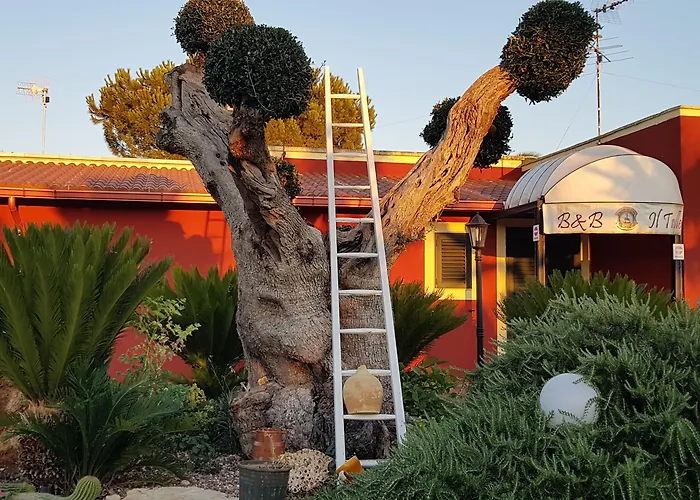 Il Trulletto Impalata